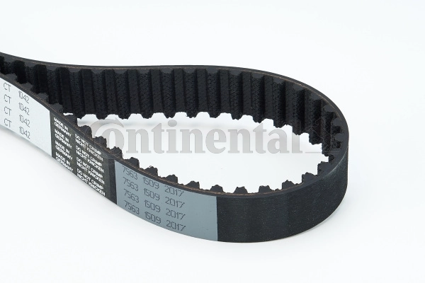 Timing Belt